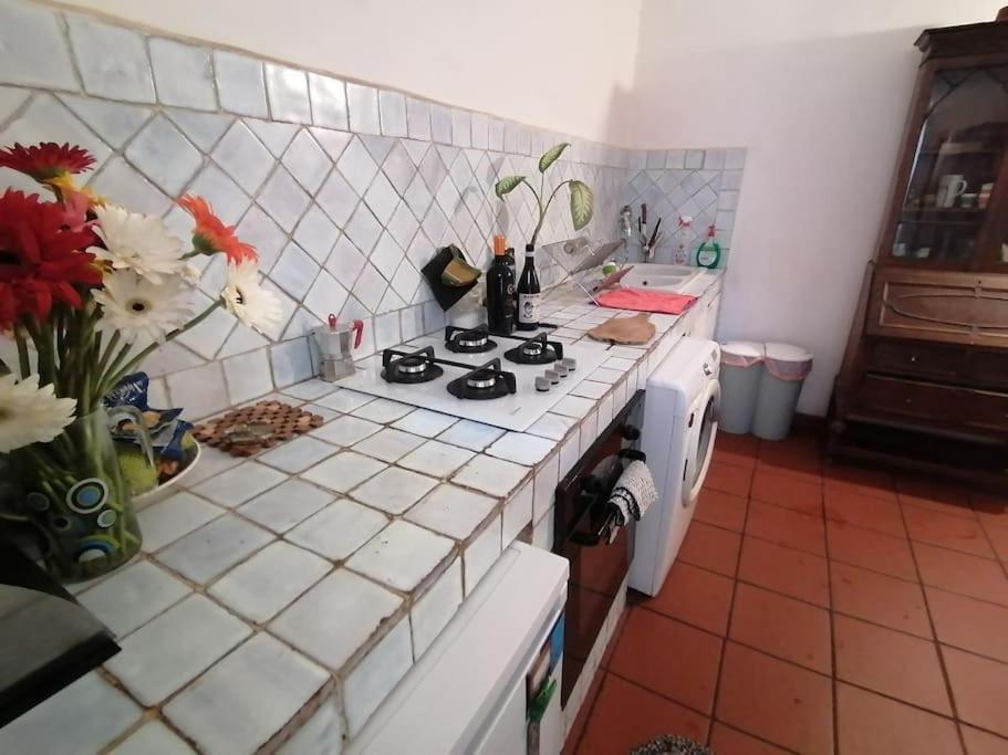 La Tua Casa A Trastevere روما المظهر الخارجي الصورة